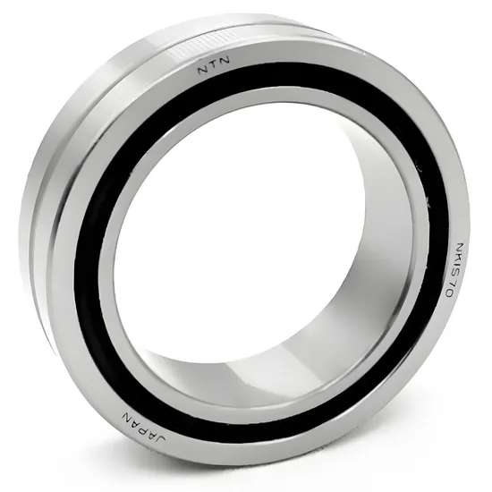 Needle Roller Bearing NK110/30 NK110/40 for Industrial Machinery with P0-P4 Precision