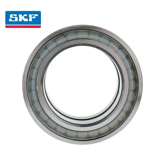 Double Row Cylindrical Roller Bearing NUP209-Ec P for Drive System Transmission