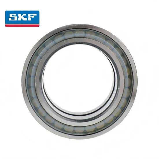 Vibration Resistant Double Row Cylindrical Roller Bearing Nu2207 Ec J/C3 for Industrial Transmission
